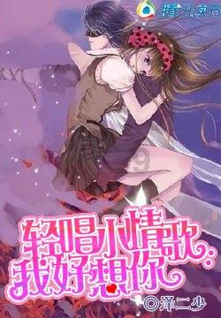 狐狸的旅程